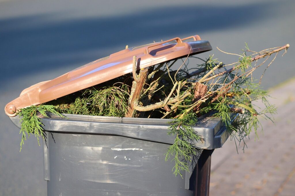 garbage can, green cut, brown ton, waste, garbage, organic, garden waste, disposal, recycling, plastic, environment, environmental protection, waste disposal, waste container, waste separation, responsibility, clean up, the plants were cut, pruning, garden waste, garden waste, garden waste, garden waste, garden waste, pruning